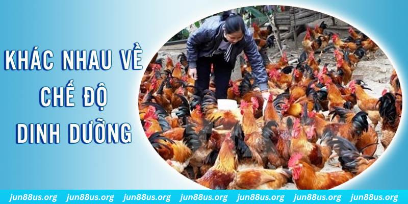 xổ số thứ sáu hàng tuần