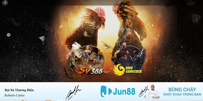 789win club xổ số miền nam hàng tuần