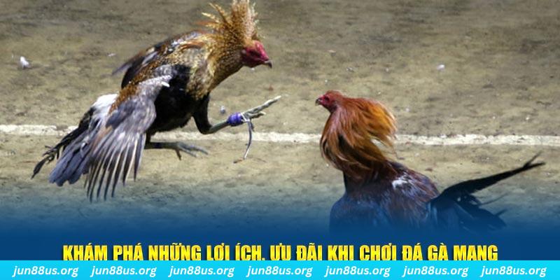 789win club Tài Xỉu 2