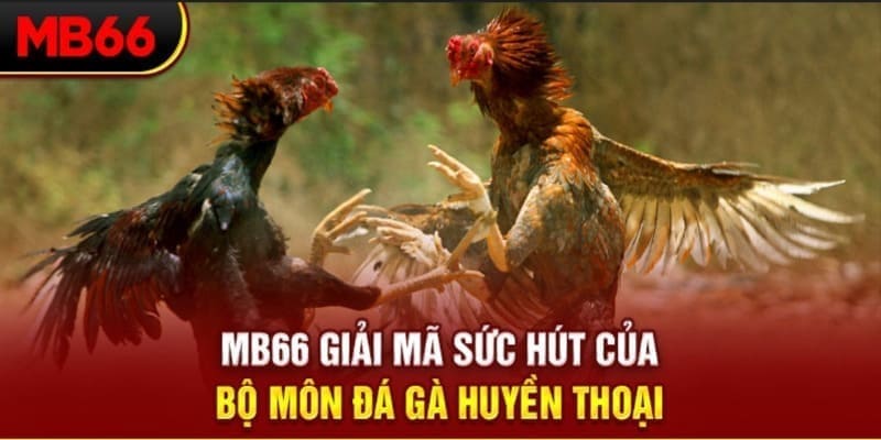 789win club long bảo trong baccarat là gì
