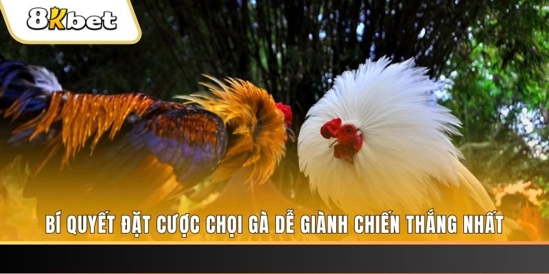 789win club may club nổ hũ