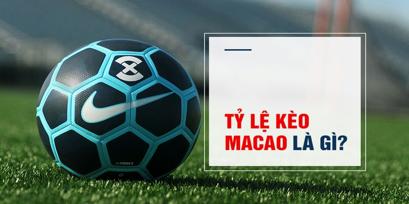 789win club Trăm Knorr